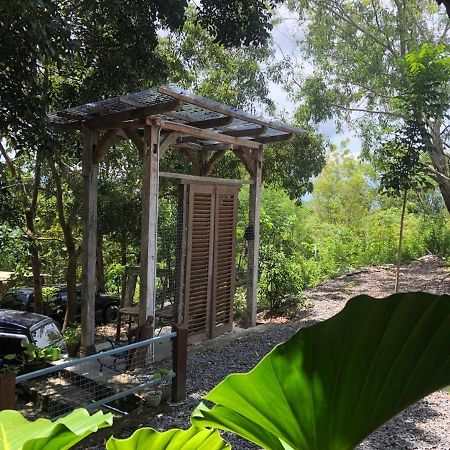 Omah Cantrik, Ethnic Java House With Nature View Jarakan Luaran gambar